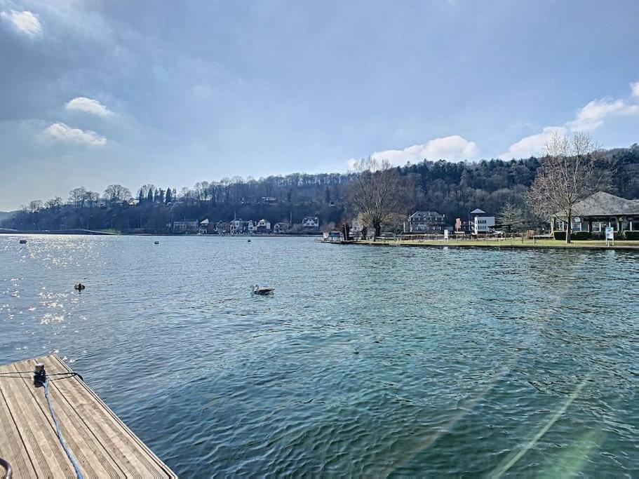 Vue Sur Meuse Avec Jacuzzi Et Sauna Exterieur. Yvoir Екстериор снимка