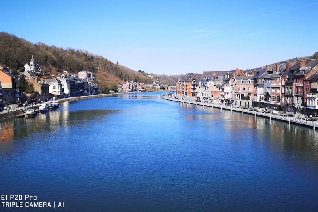 Vue Sur Meuse Avec Jacuzzi Et Sauna Exterieur. Yvoir Екстериор снимка